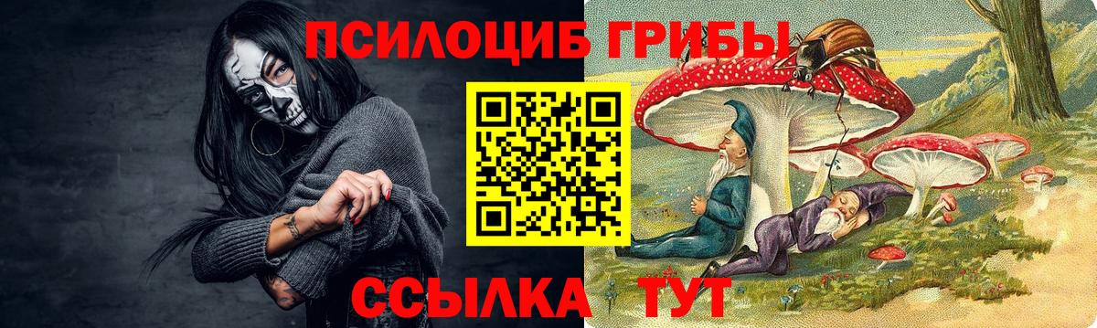 Галлюциногенные грибы Psilocybine cubensis  Вход с VPN  купить наркотики сайты  Кстово 